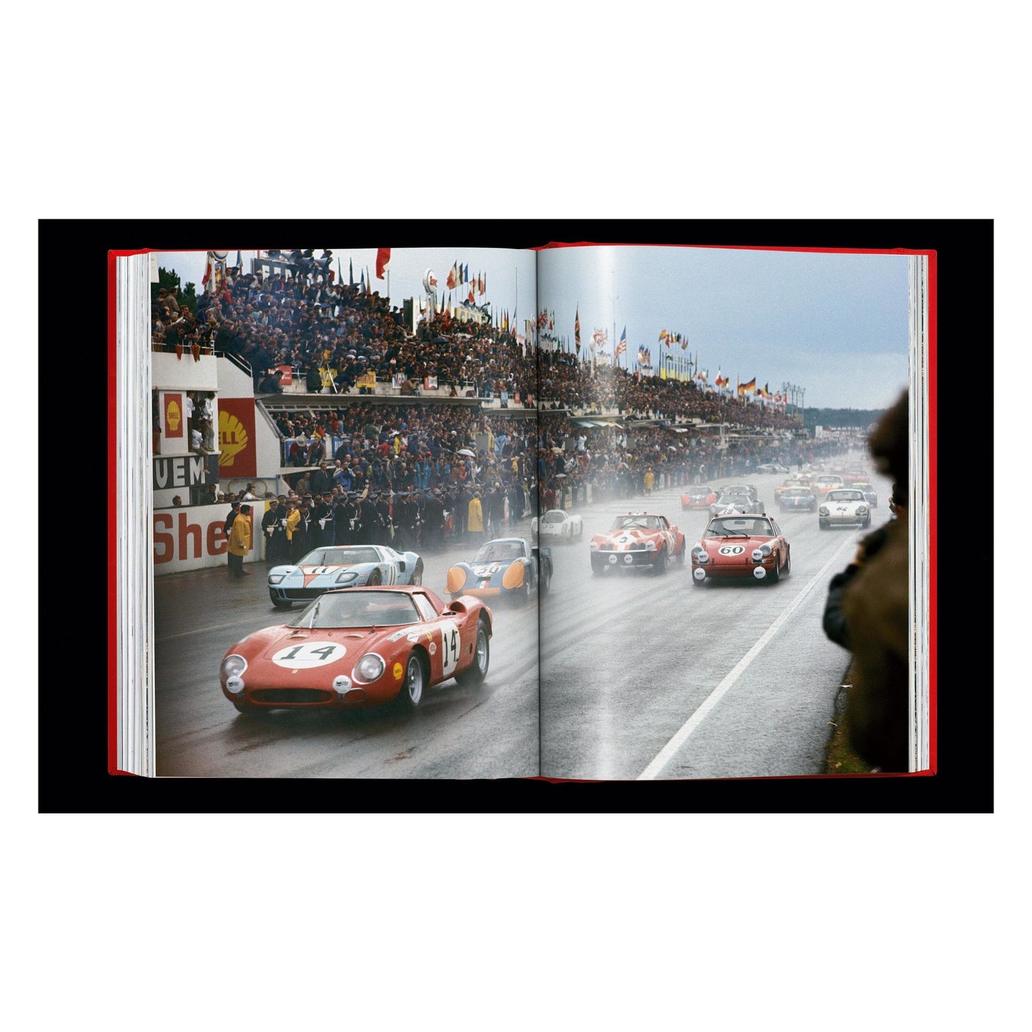 Ferrari (English) (AP)