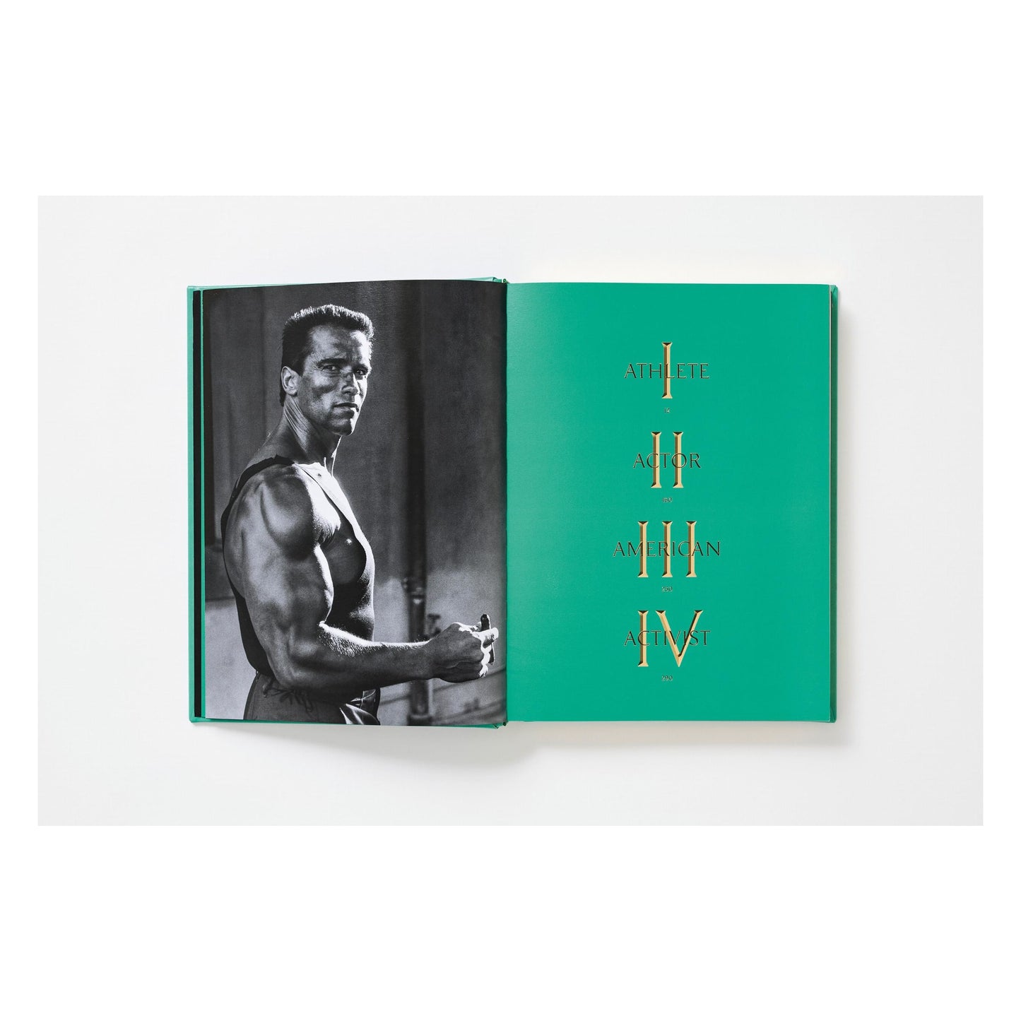 ARNOLD. Collector’s Edition (English)