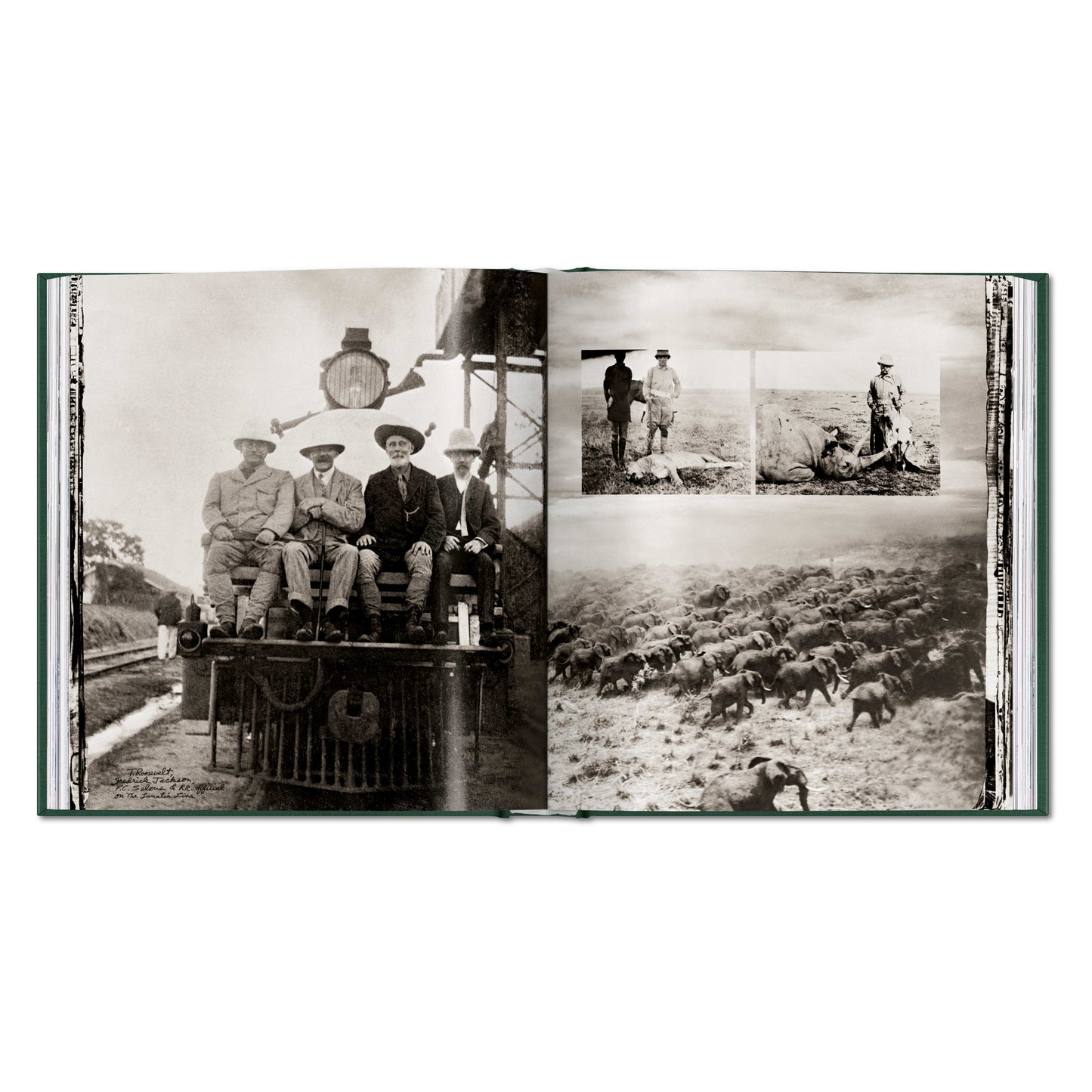 Peter Beard. The End of the Game (English)