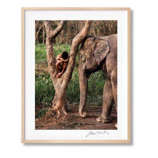 McCurry, Animals, Art A, Chiang Mai (German, French, English) (SA)