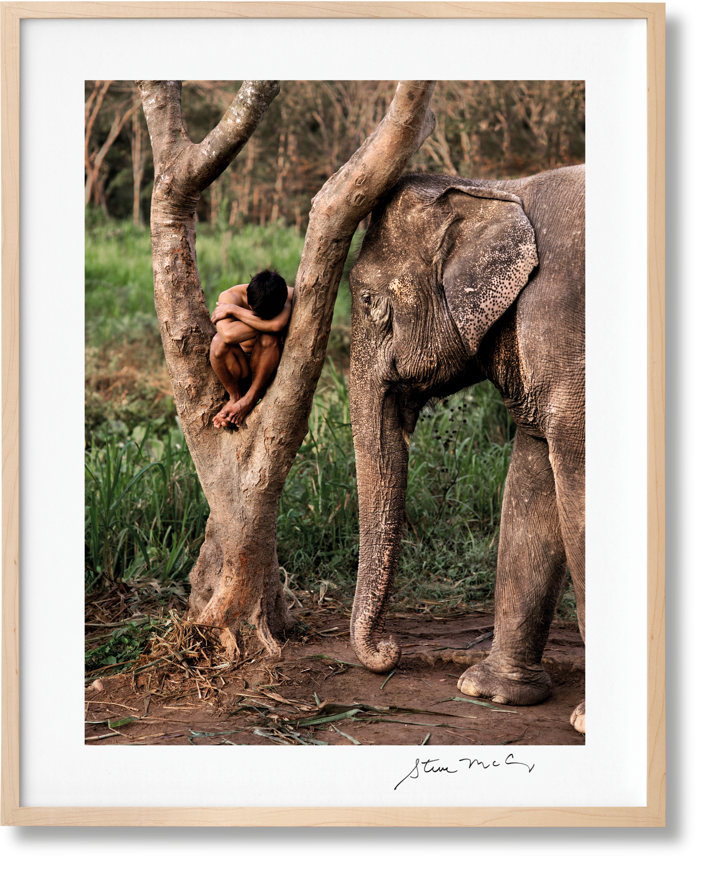 McCurry, Animals, Art A (German, French, English) (AP)