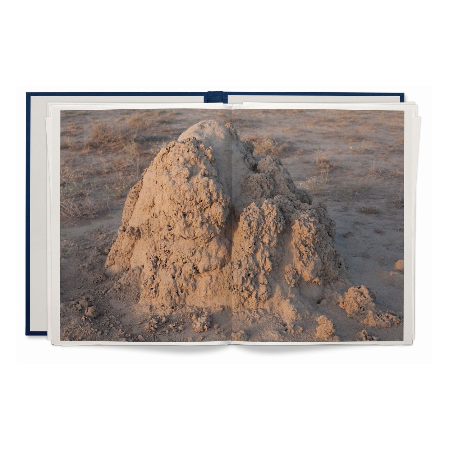Wolfgang Tillmans. Neue Welt, Art Edition (German, French, English)