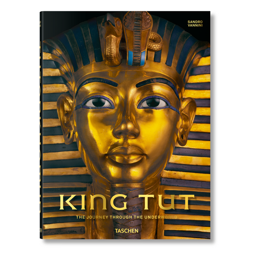 King Tut. The Journey through the Underworld (English)