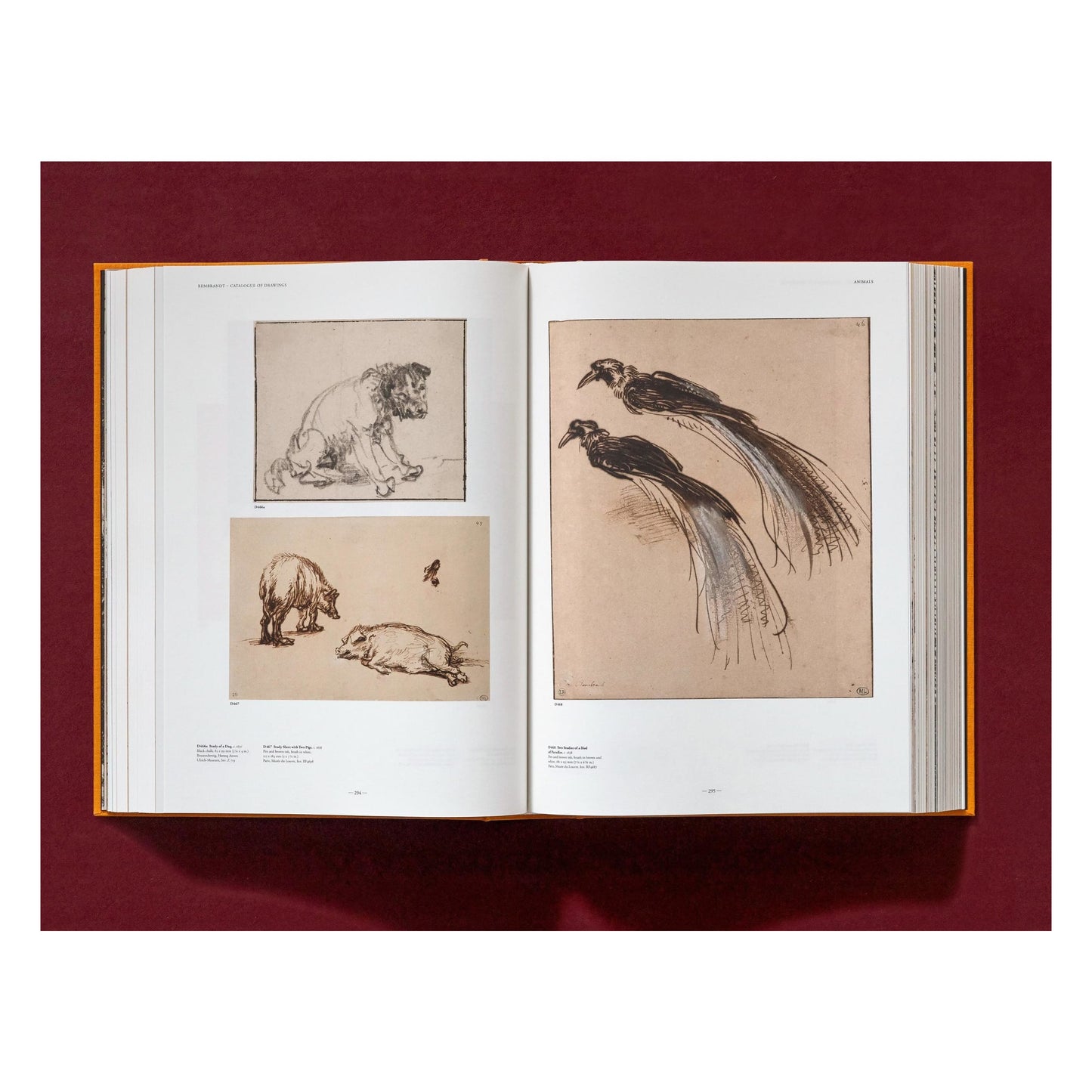 Rembrandt. Tous les dessins et toutes les eaux-fortes (French)