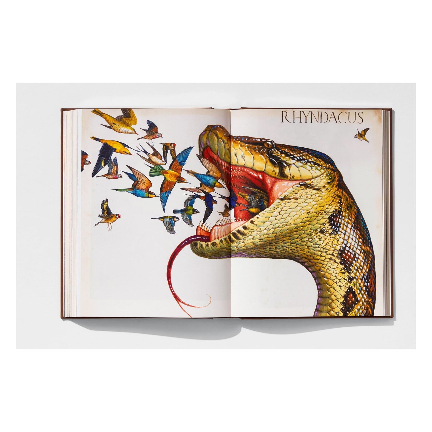 Walton Ford. Pancha Tantra. Art Edition No. 1–100 ‘Granary’ (German, French, English)