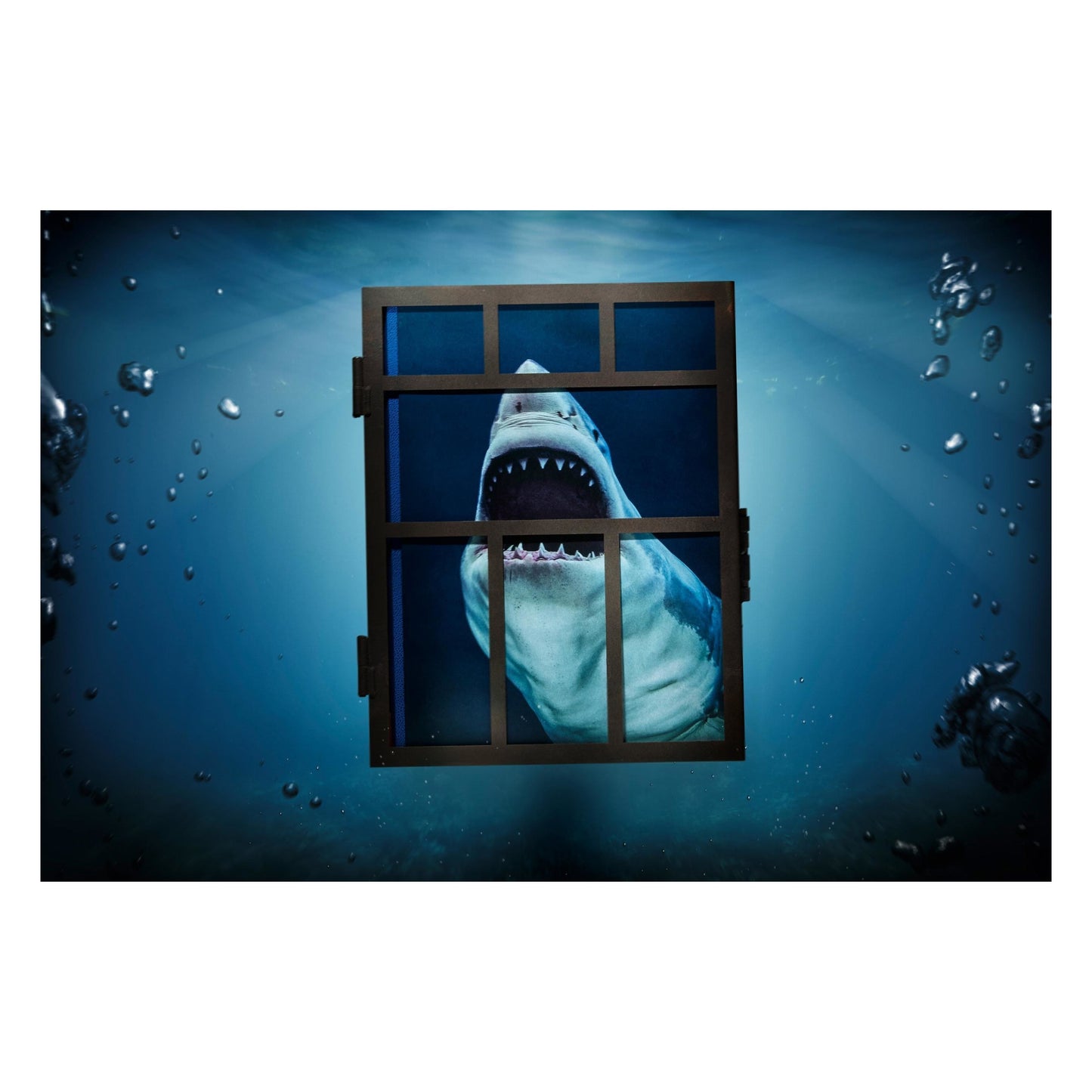 Michael Muller. Sharks, Art Edition No. 101–200 ‘Under Study’ (English) (AP)