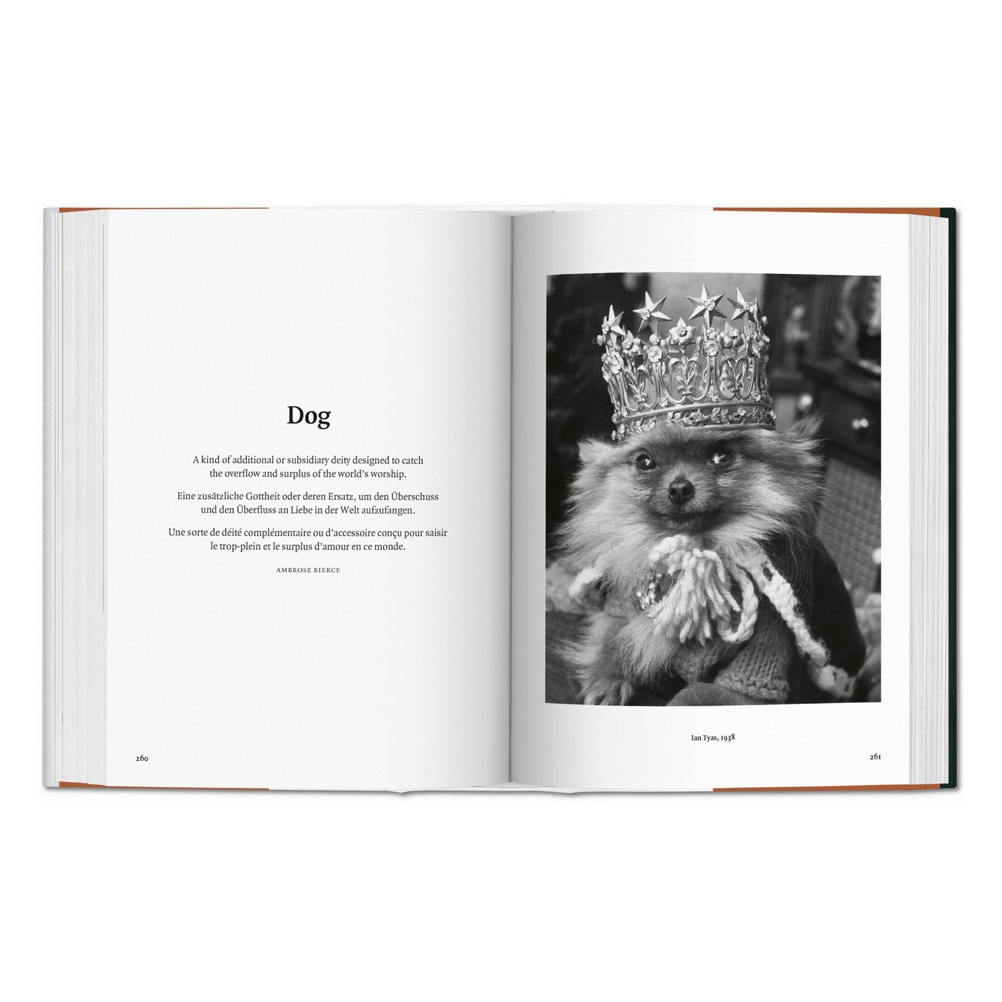 The Dog in Photography 1839–Today (German, French, English)