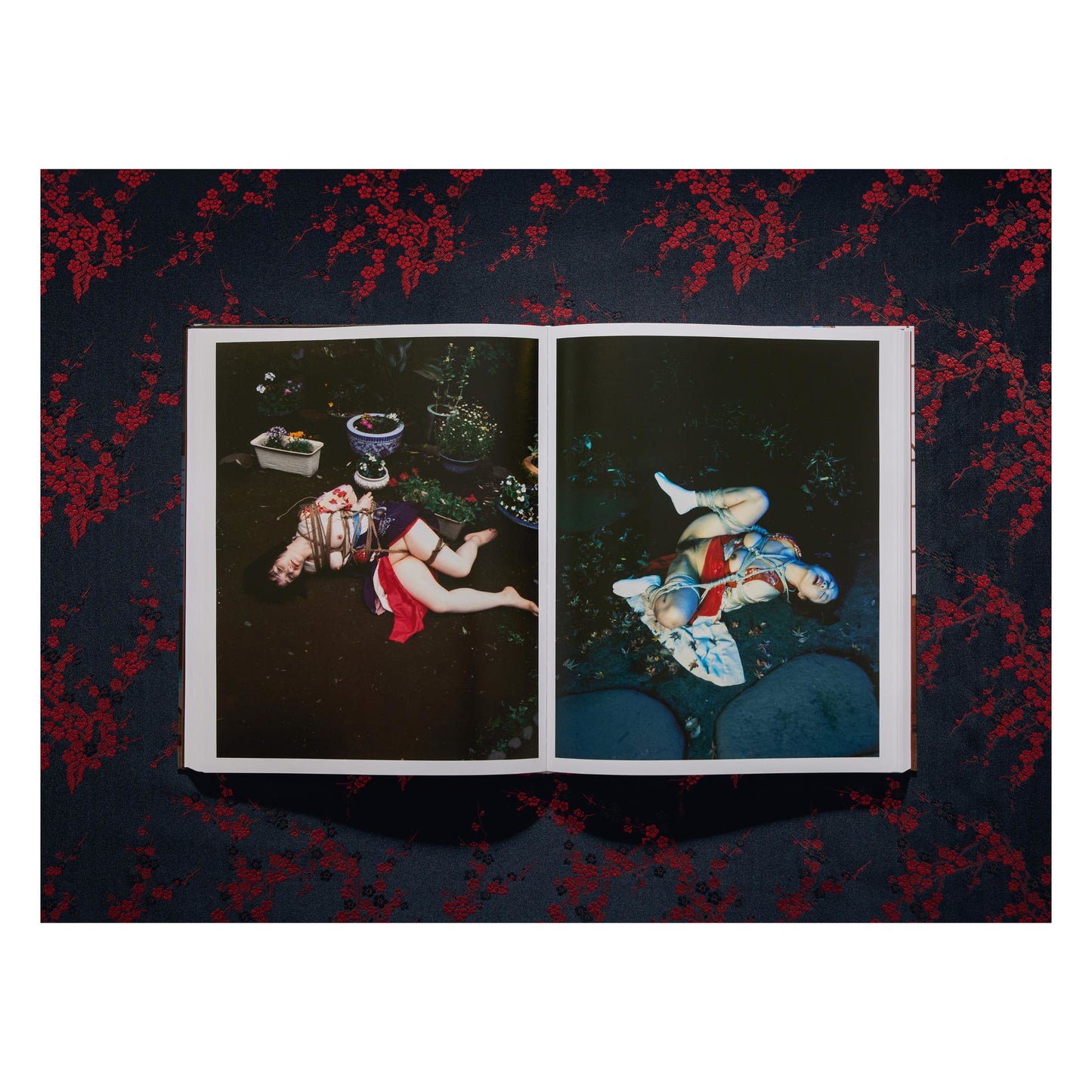 Araki. Bondage (English)