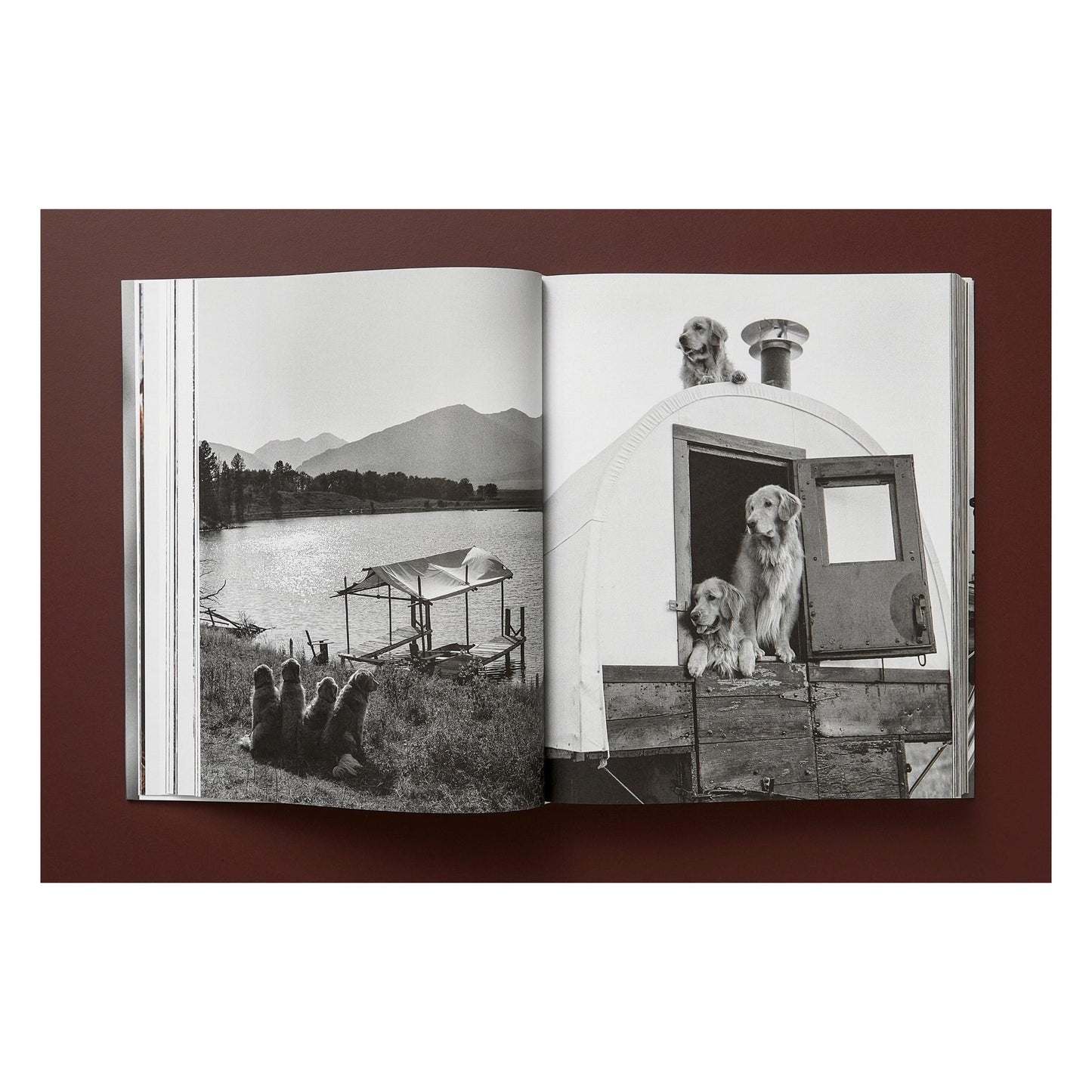 Bruce Weber. The Golden Retriever Photographic Society. Art Edition No. 1–100 ‘Little Bear Ranch, Montana, 1996’ (German, French, English)