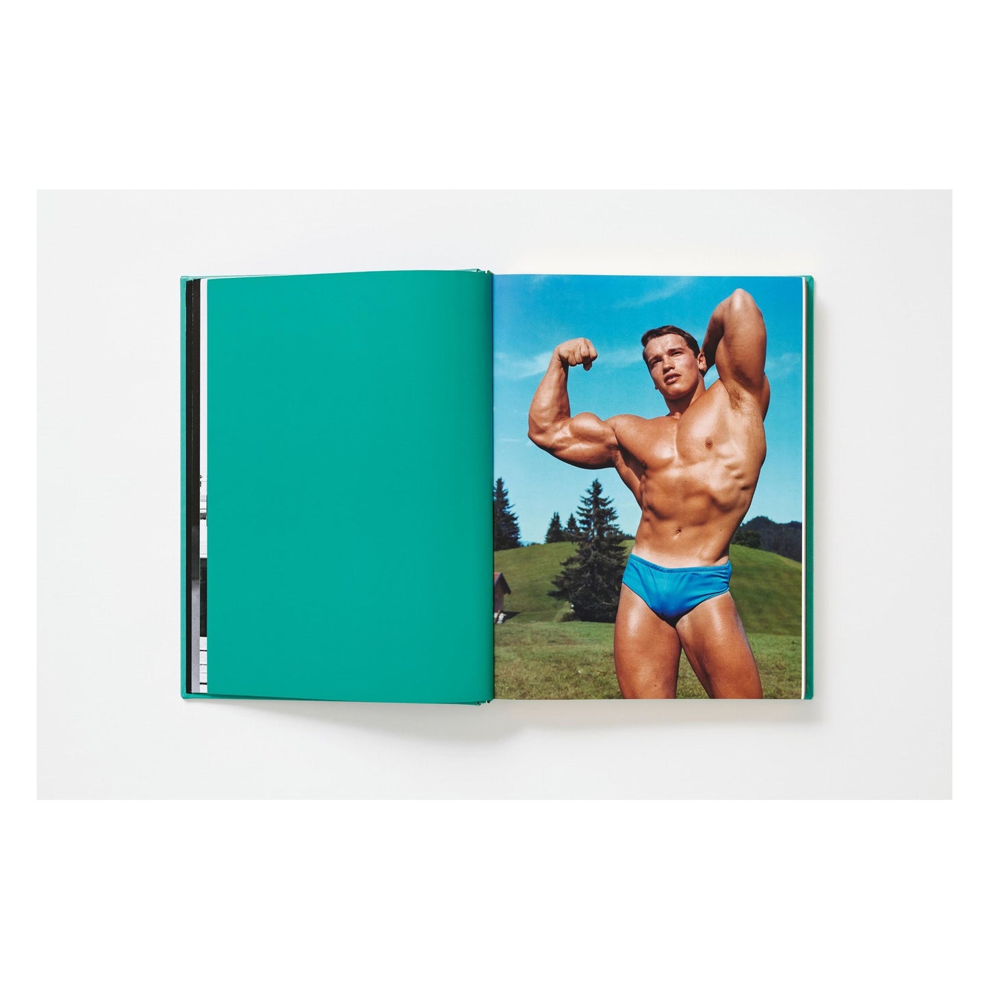 ARNOLD. Annie Leibovitz Art Edition (English)