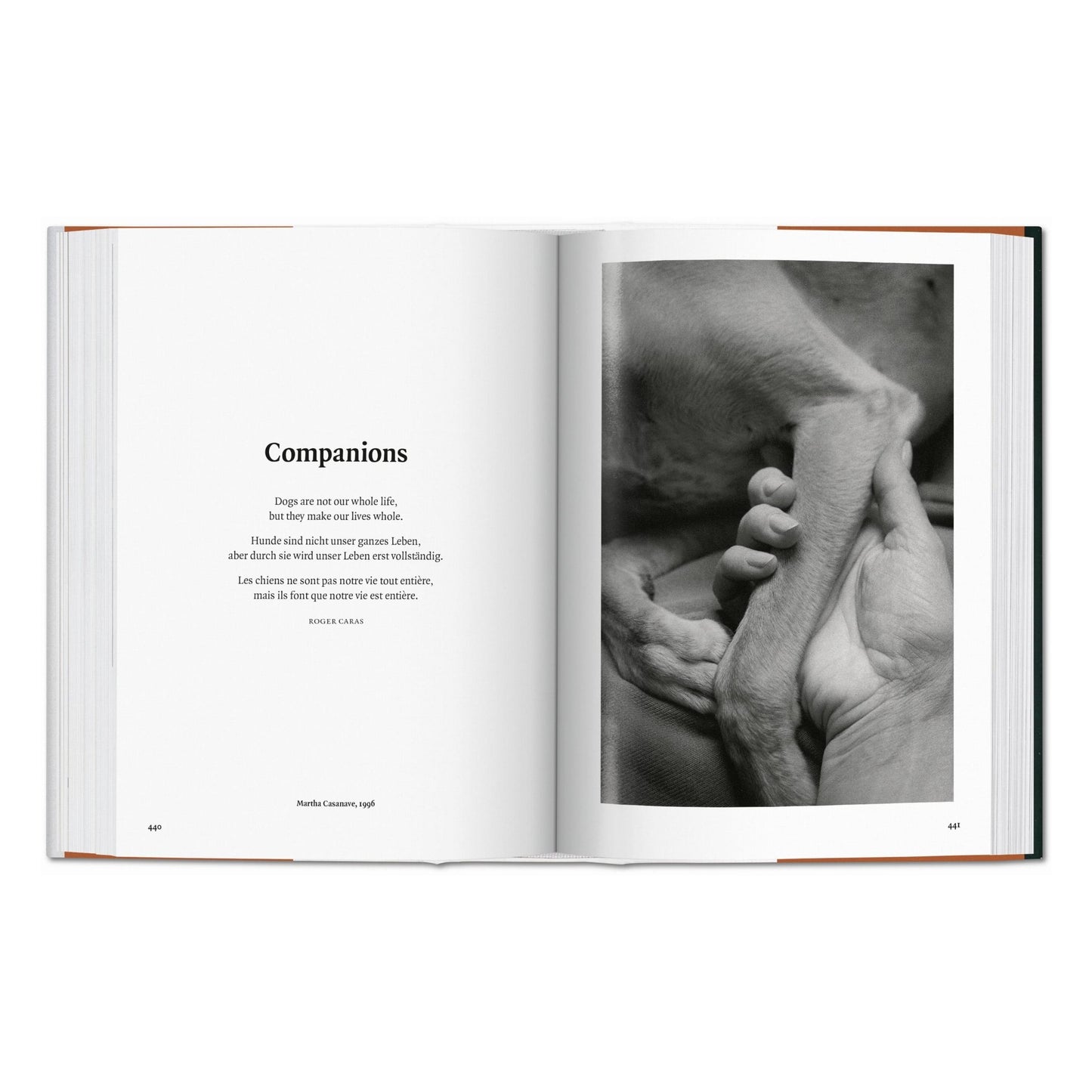 The Dog in Photography 1839–Today (German, French, English)