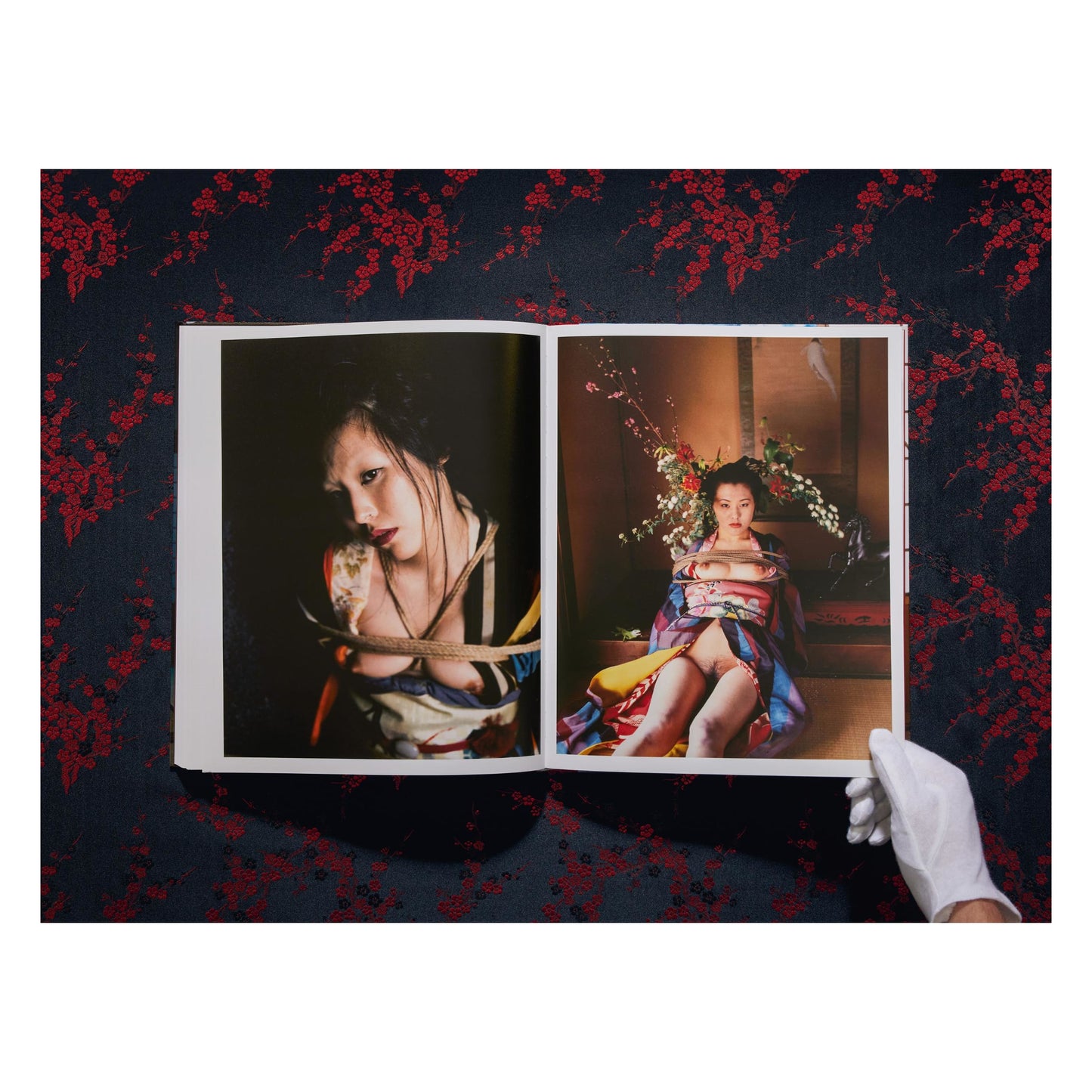 Araki. Bondage (English)