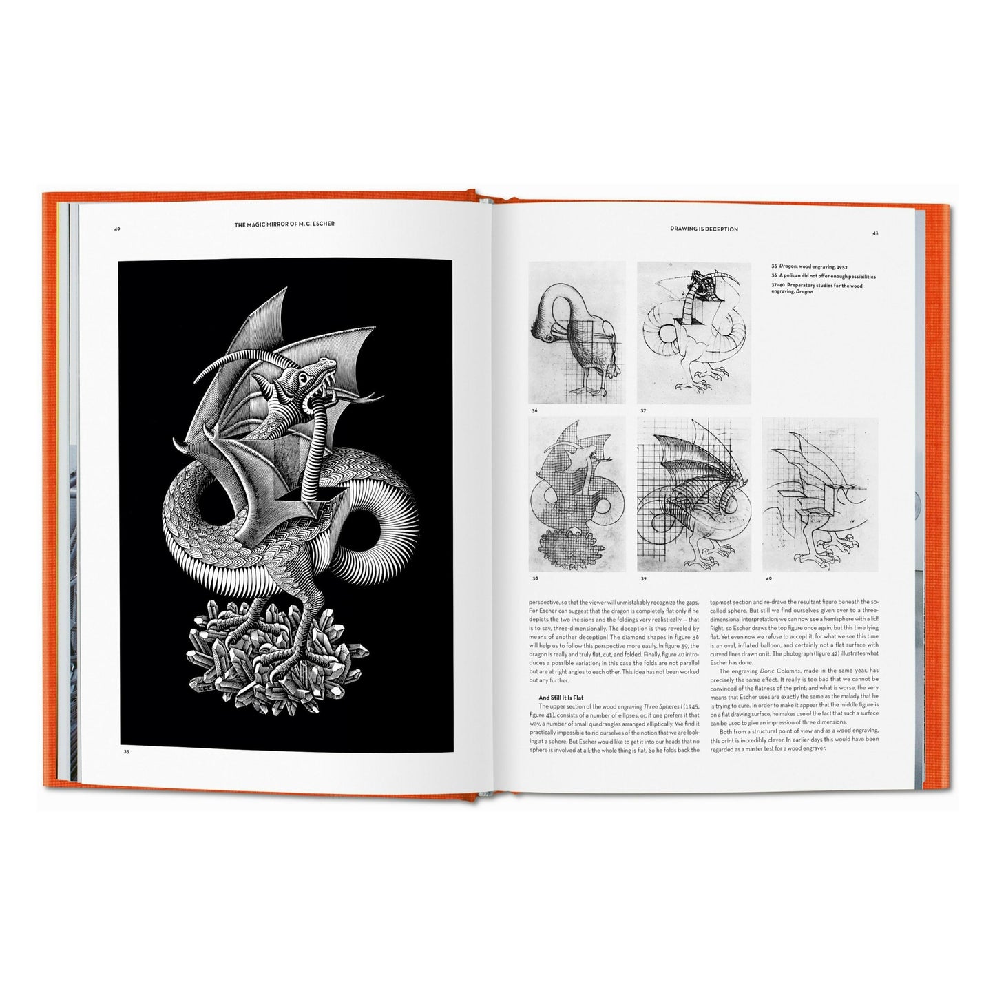 Le Miroir magique de M.C. Escher (French)