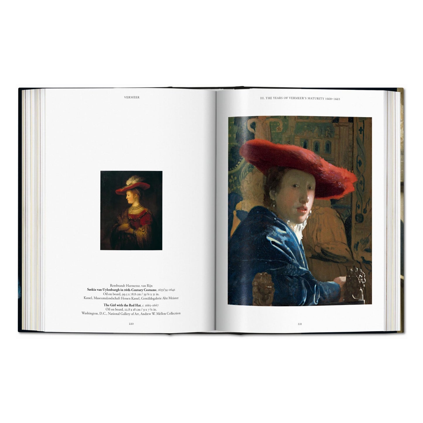 Vermeer. Das vollständige Werk. 45th Ed. (German)