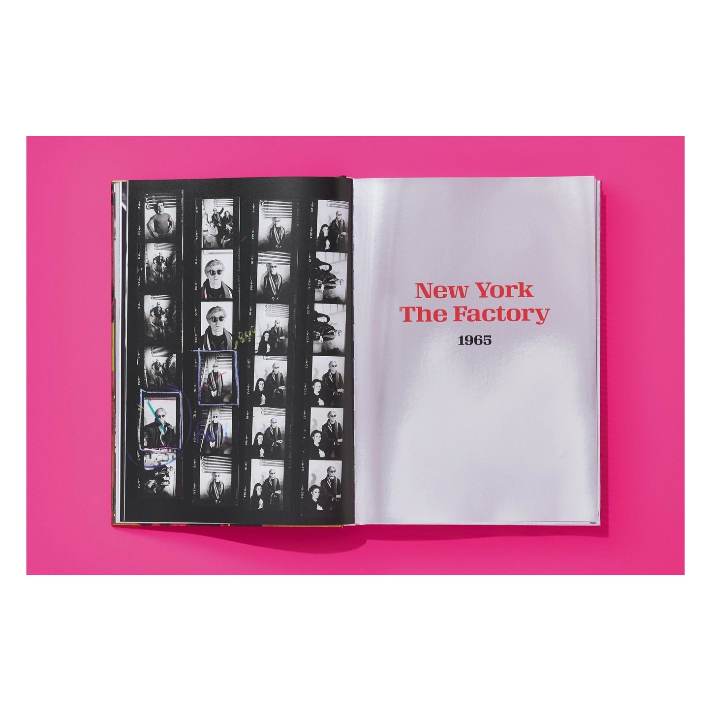 Steve Schapiro. Andy Warhol and Friends (English)