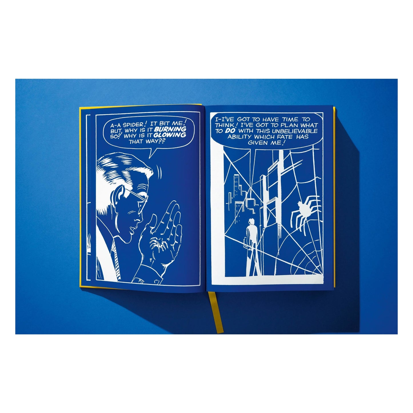 Marvel Comics Library, Spider-Man, Vol. 1, 1962-1964 (English) (AP)