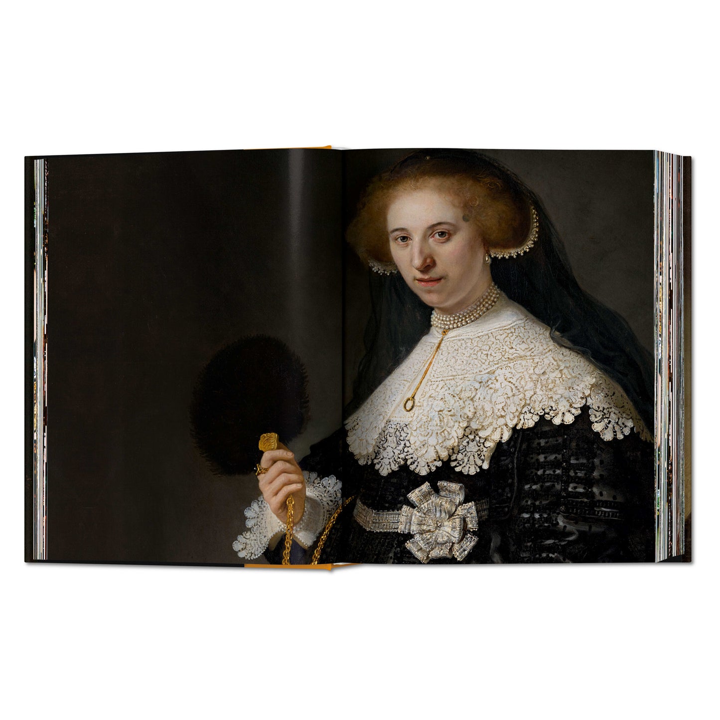 Rembrandt. Sämtliche Gemälde (German)
