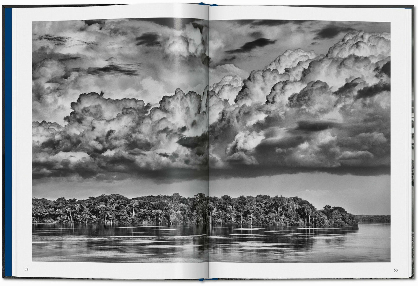 Sebastião Salgado. Amazônia (Italian)