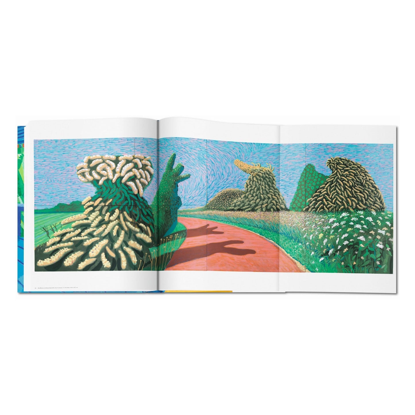 David Hockney. A Bigger Book (English) (SA)