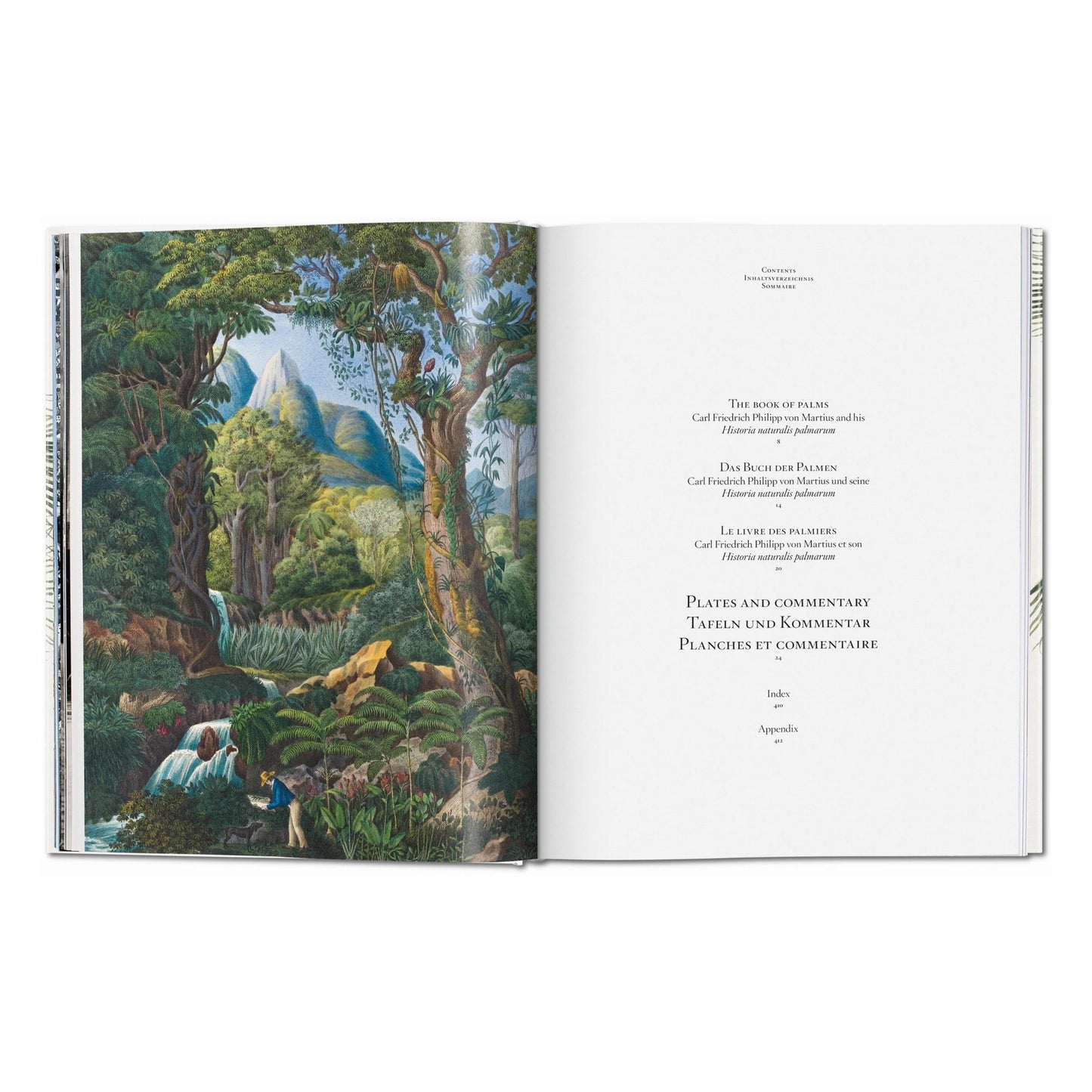 Martius. The Book of Palms (German, French, English)