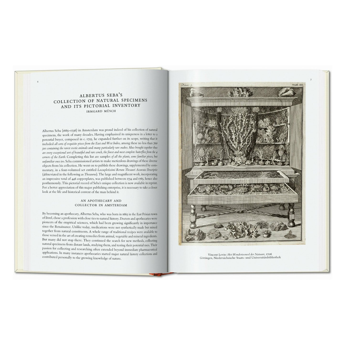 Seba. Cabinet of Natural Curiosities. 45th Ed. (German, French, English)