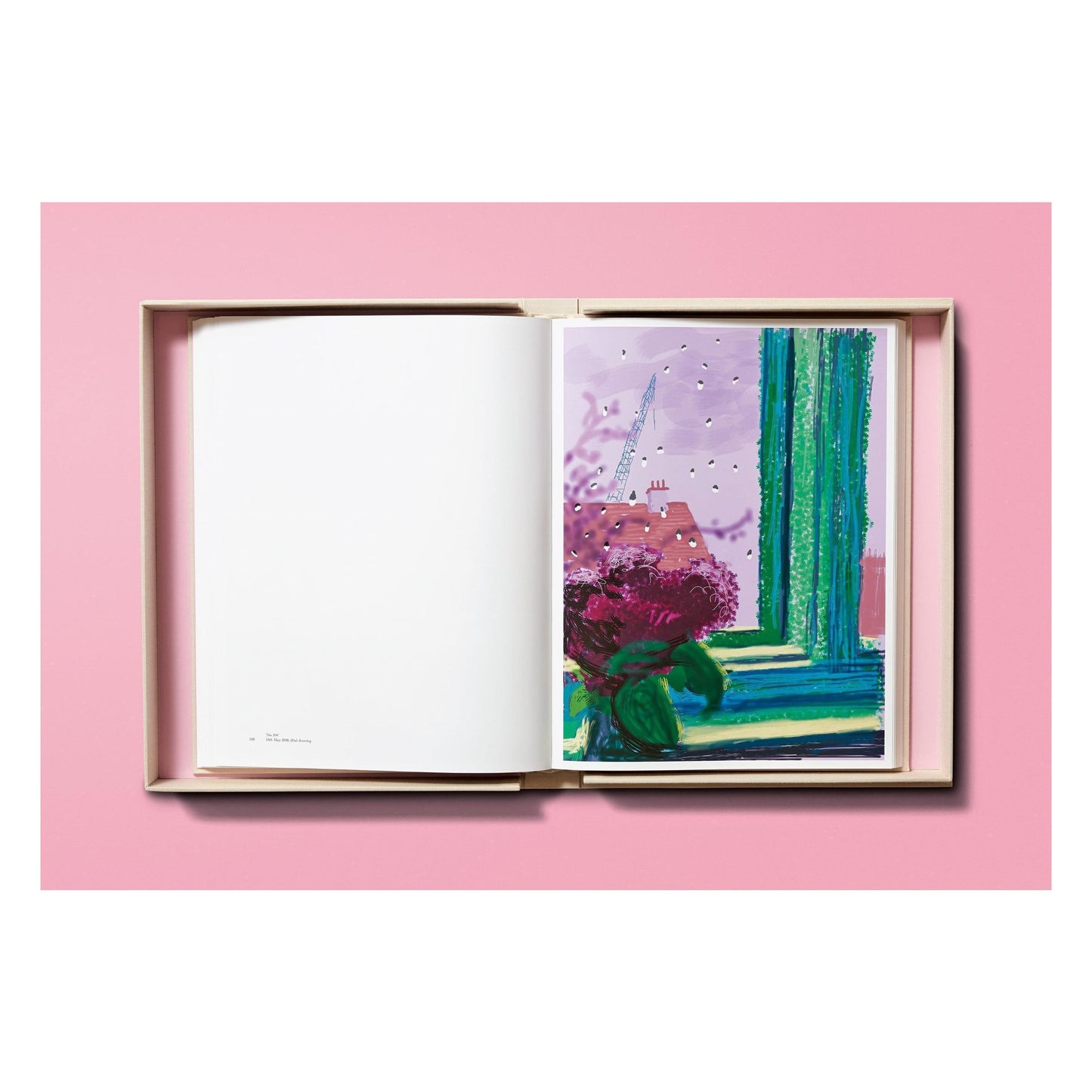 David Hockney. My Window (English)