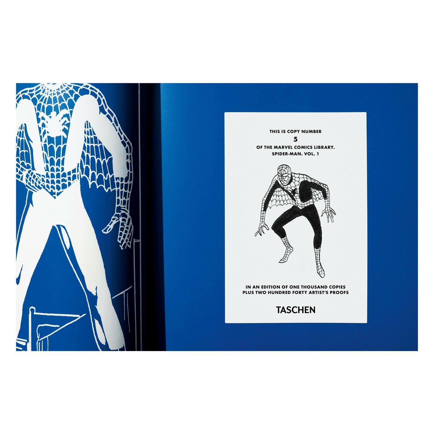 Marvel Comics Library, Spider-Man, Vol. 1, 1962-1964 (English) (AP)