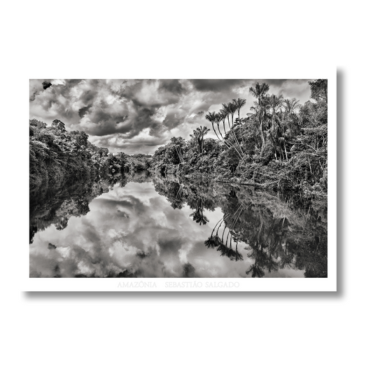 Sebastião Salgado. Amazônia. Poster ‘Jau River’