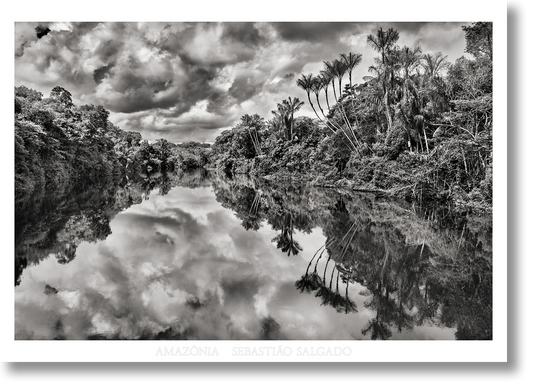 Sebastião Salgado. Amazônia. Poster ‘Jau River’