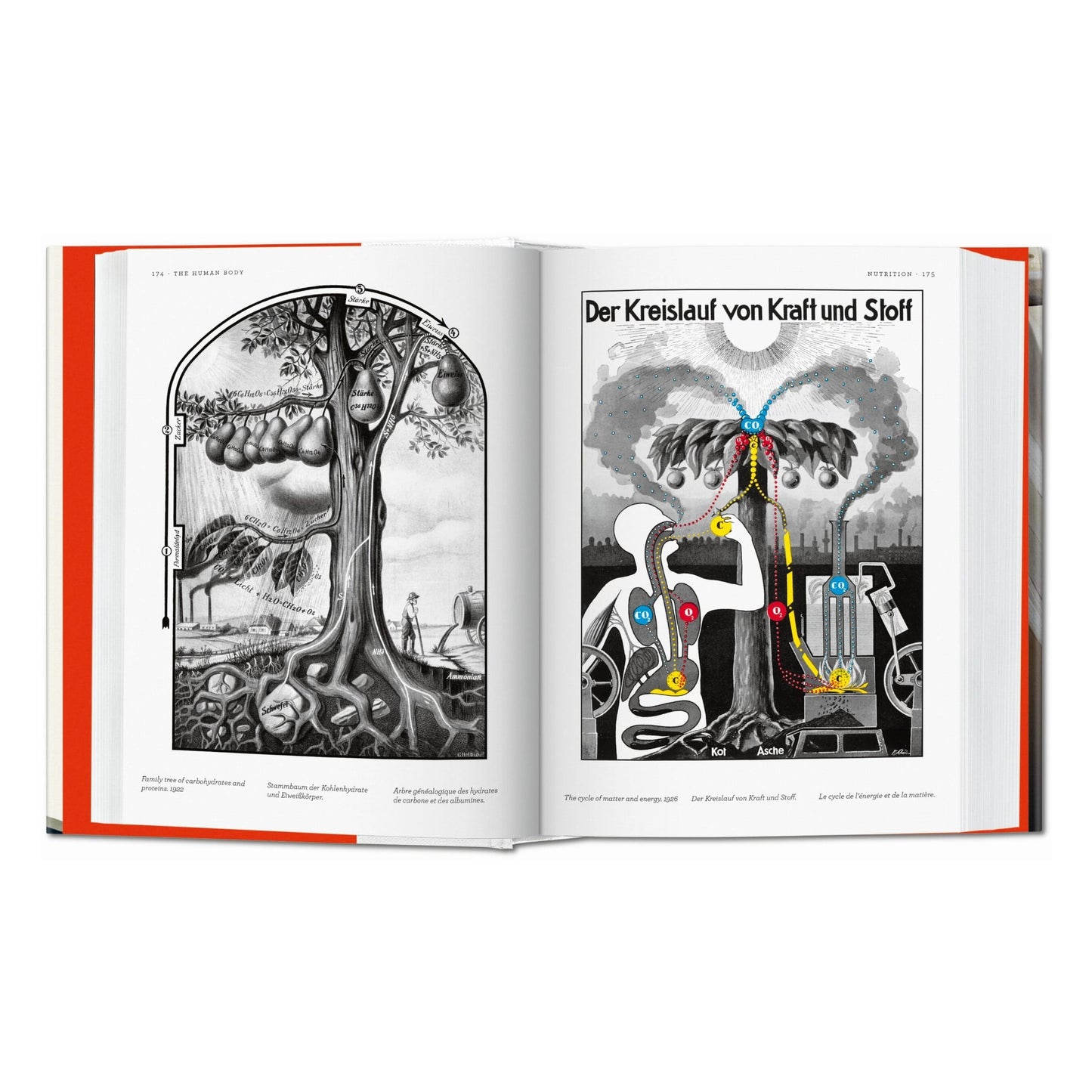 Fritz Kahn. Infographics Pioneer (Spanish, English, Italian)