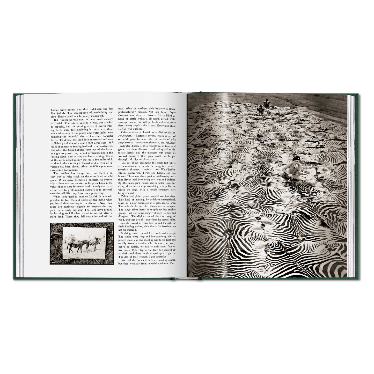 Peter Beard. The End of the Game (English)