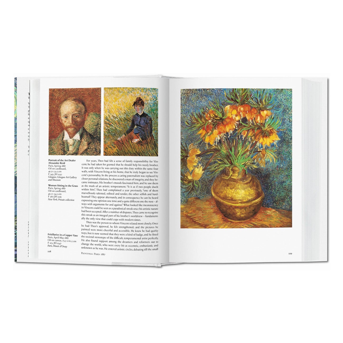 Van Gogh. Alle Schilderijen (Dutch)