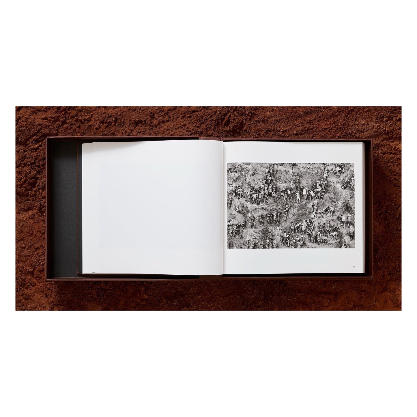 Sebastião Salgado. Gold (English) (SA)