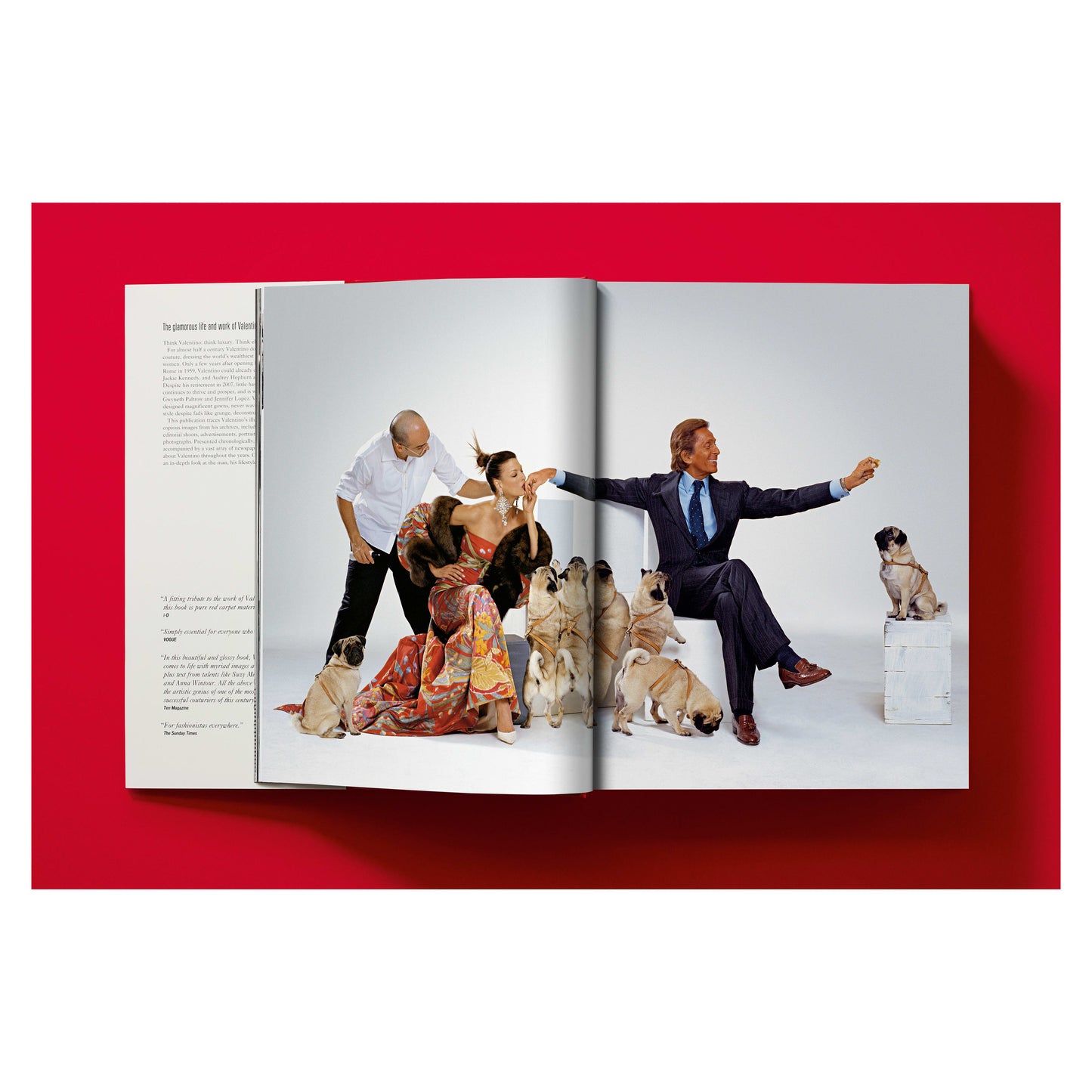 Valentino. A Grand Italian Epic (English)