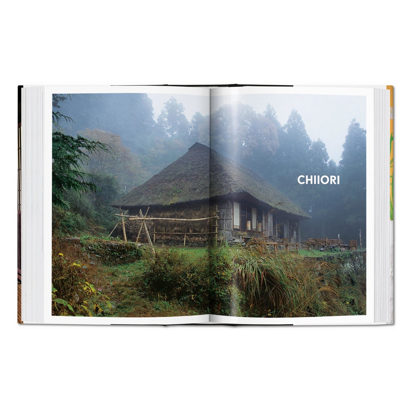 Living in Japan. 45th Ed. (Spanish, Italian, Portuguese)