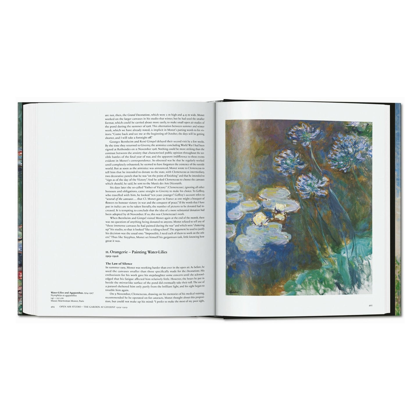 Monet. Der Triumph des Impressionismus (German)