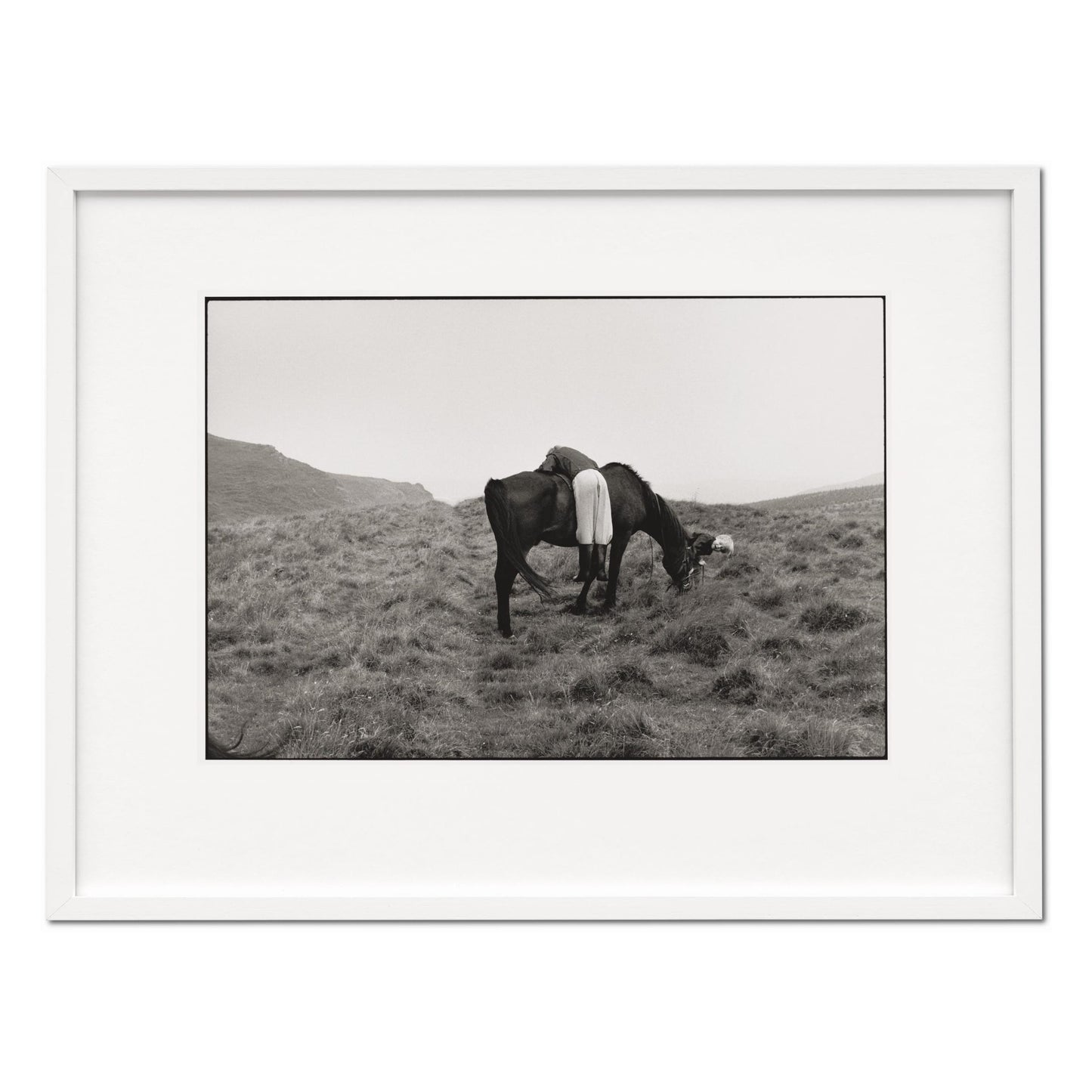 Linda McCartney. Life in Photographs, Art Edition No. 1–125 ‘Horse’ (English) (AP)