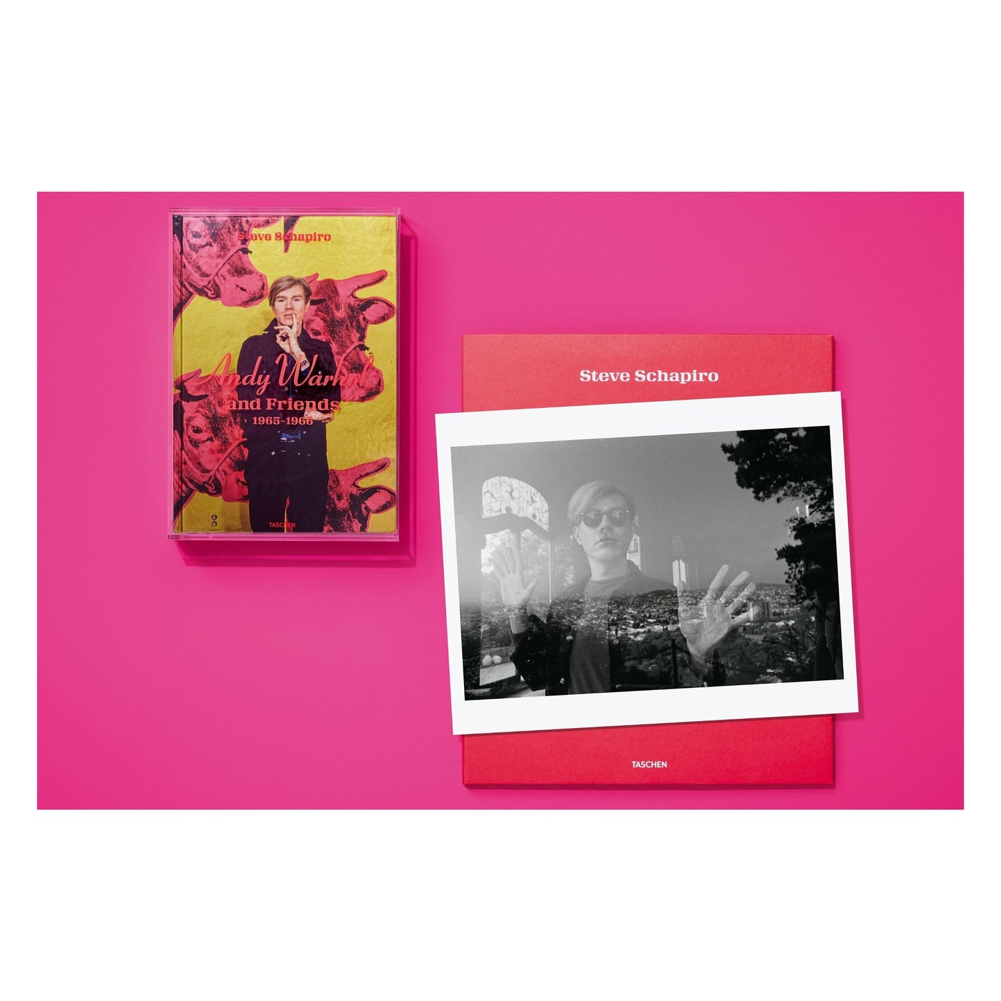 Steve Schapiro. Andy Warhol and Friends. Art Edition No. 1–50 ‘Andy Warhol at the Castle, Los Angeles, 1966’ (English) (SA)