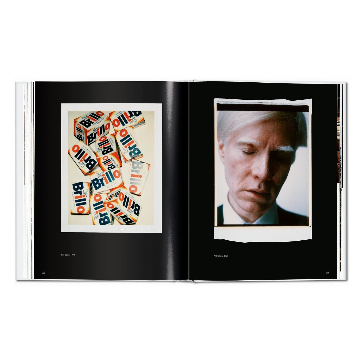 Andy Warhol. Polaroids 1958-1987 (German, French, English)