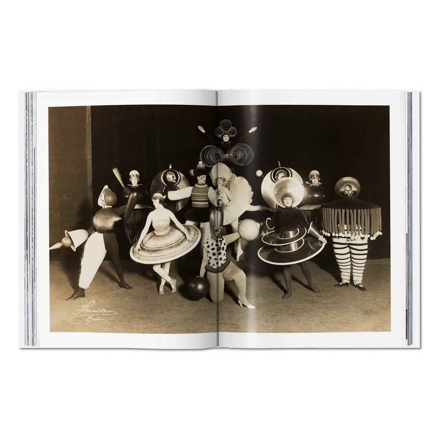 Bauhaus. Edición actualizada (Spanish)