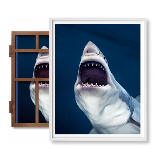 Michael Muller. Sharks, Art Edition No. 1–100 ‘Tear You Apart’ (English) (AP)