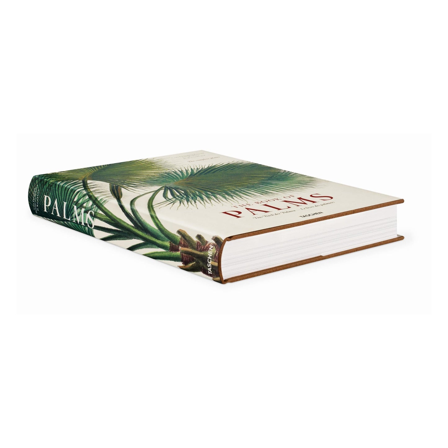 Martius. The Book of Palms (German, French, English)