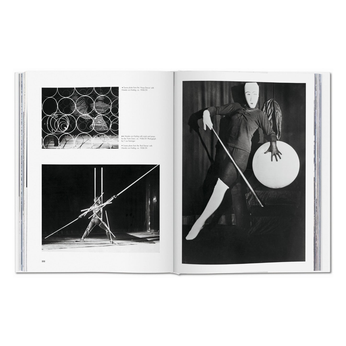 Bauhaus. Édition actualisée (French)
