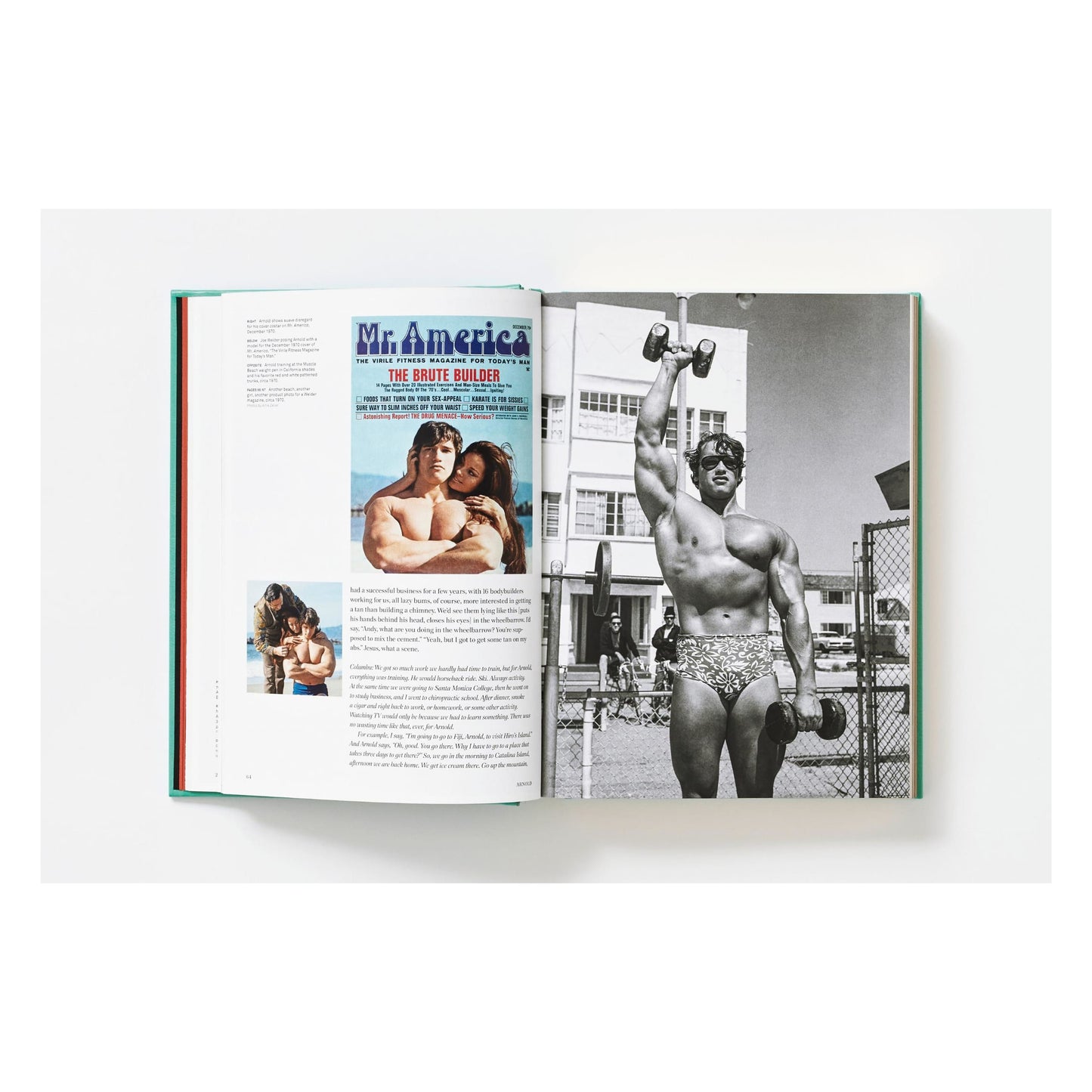 ARNOLD. Collector's Edition (English) (SA)