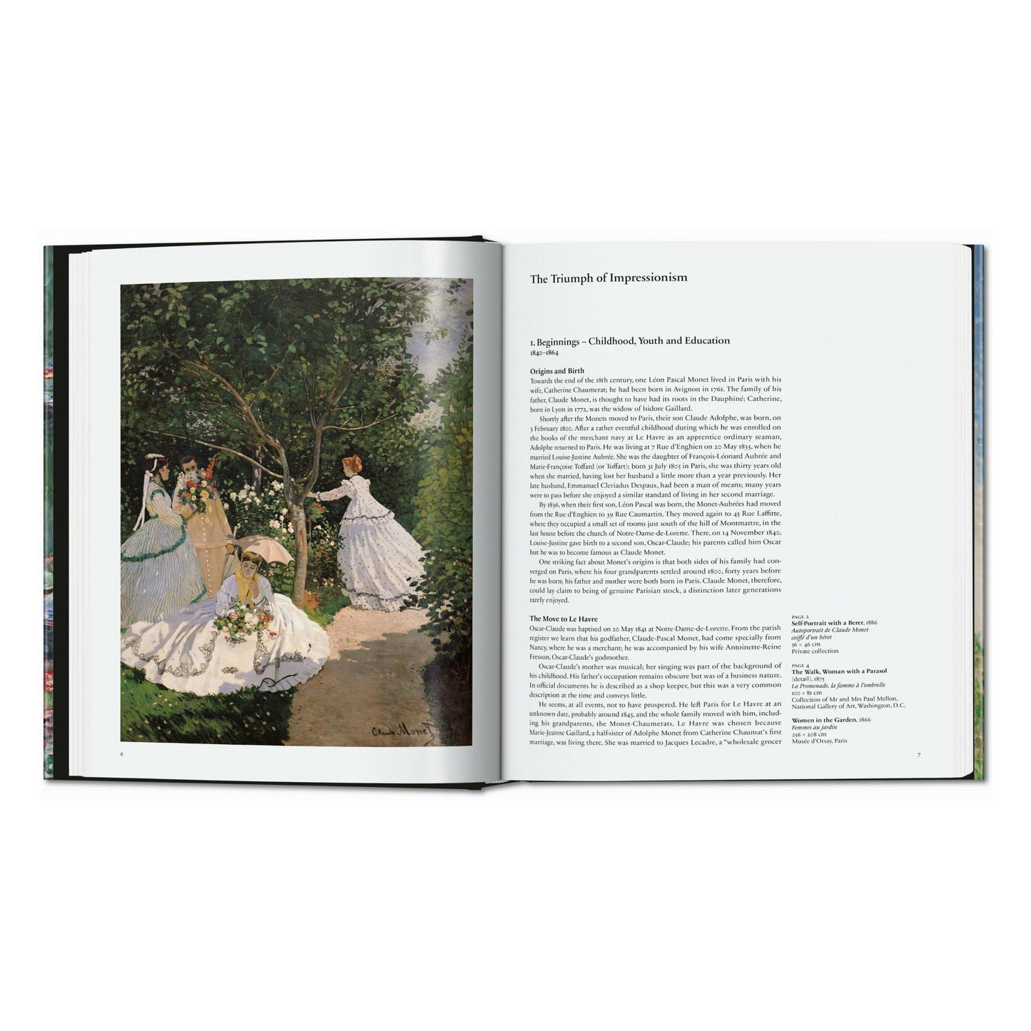 Monet. Le Triomphe de l'Impressionnisme (French)