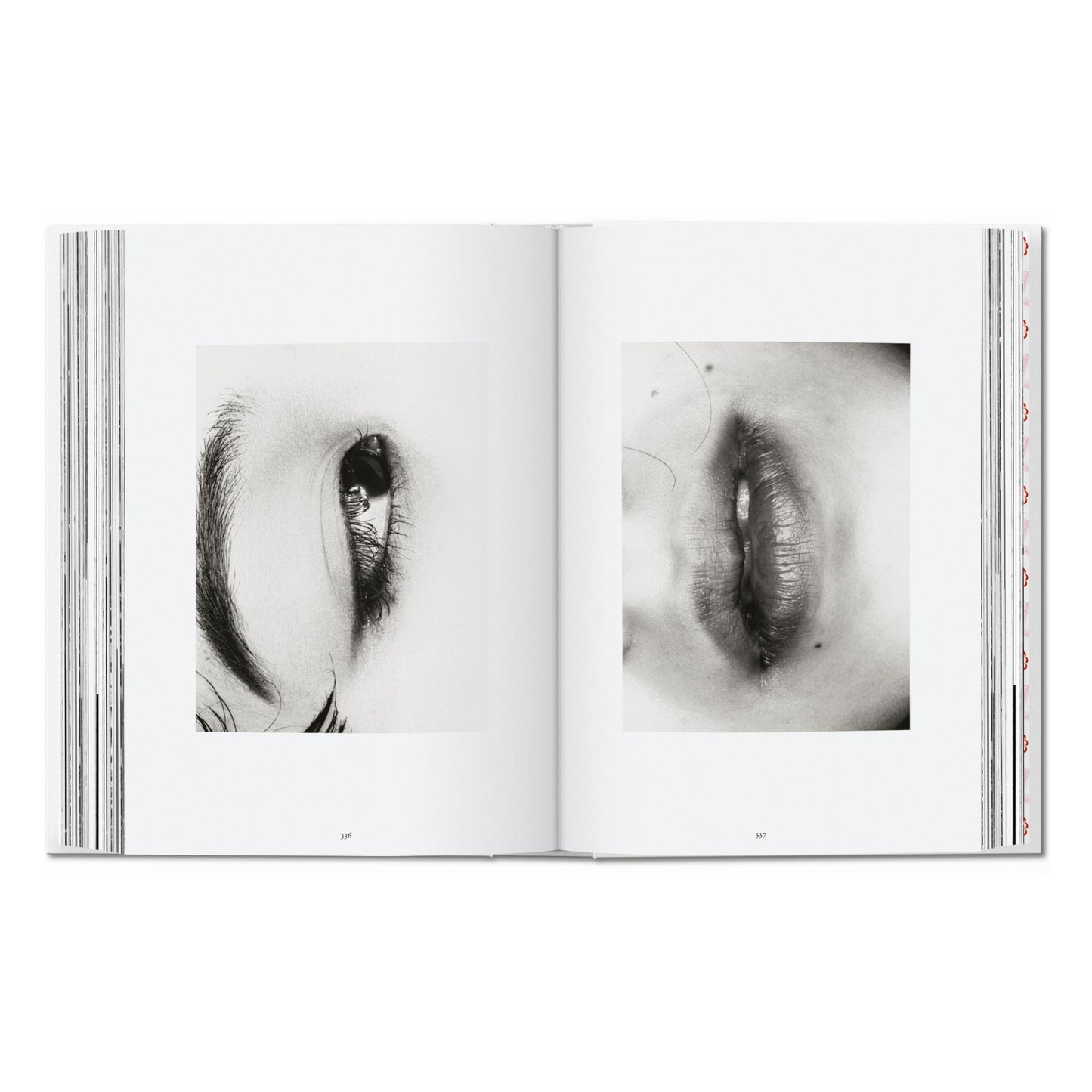 Araki. 45th Ed. (German, French, English)