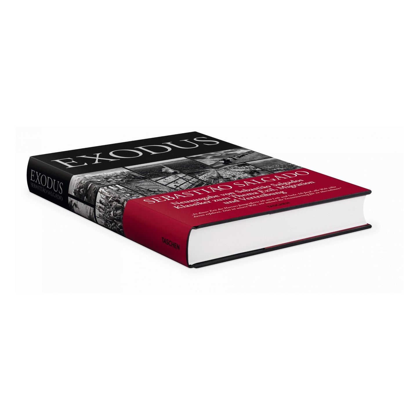 Sebastião Salgado. Exodus (Italian)