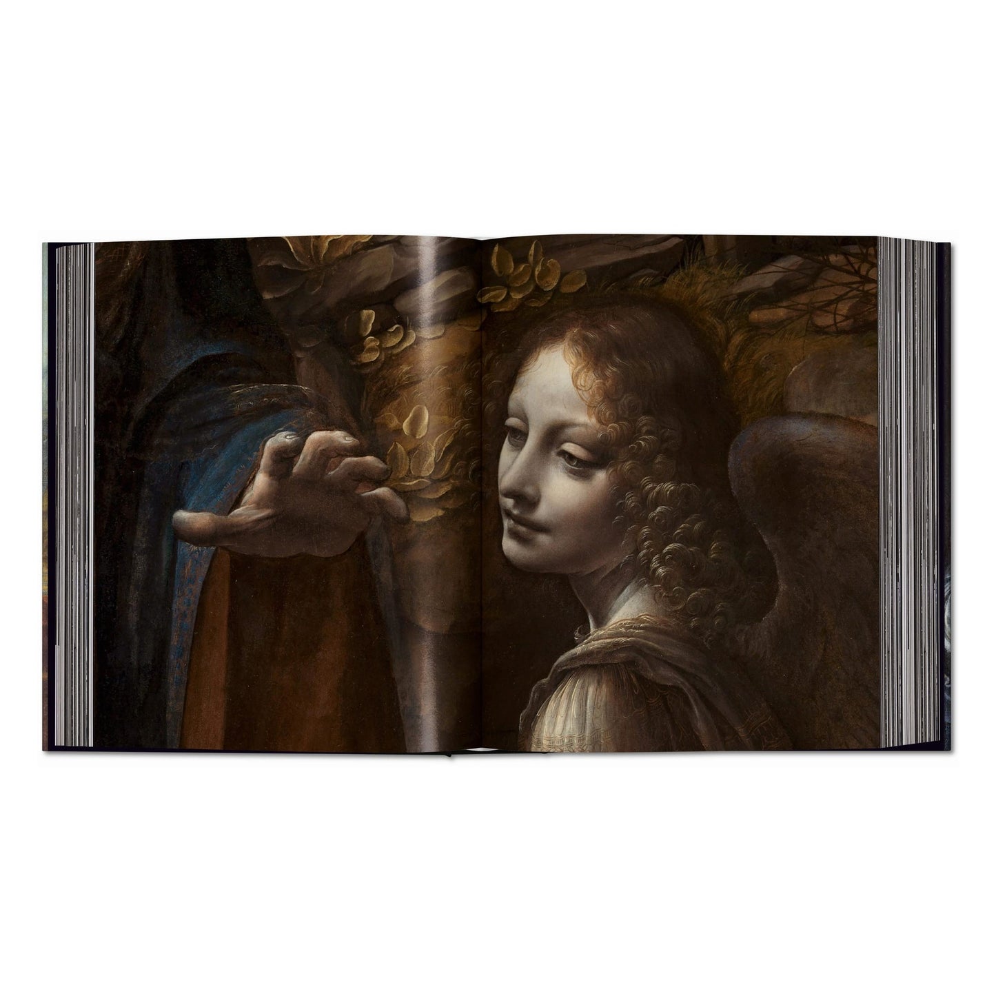 Leonardo. Tutti i dipinti e disegni (Italian)