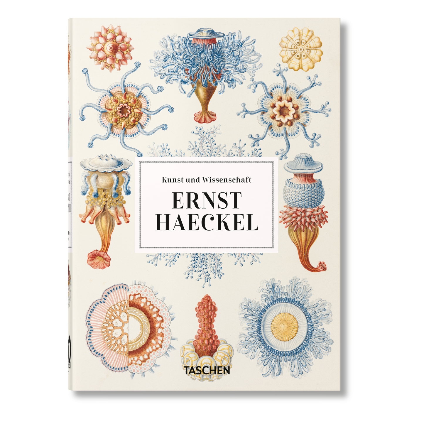 Ernst Haeckel. Kunst und Wissenschaft. 45th Ed. (German)