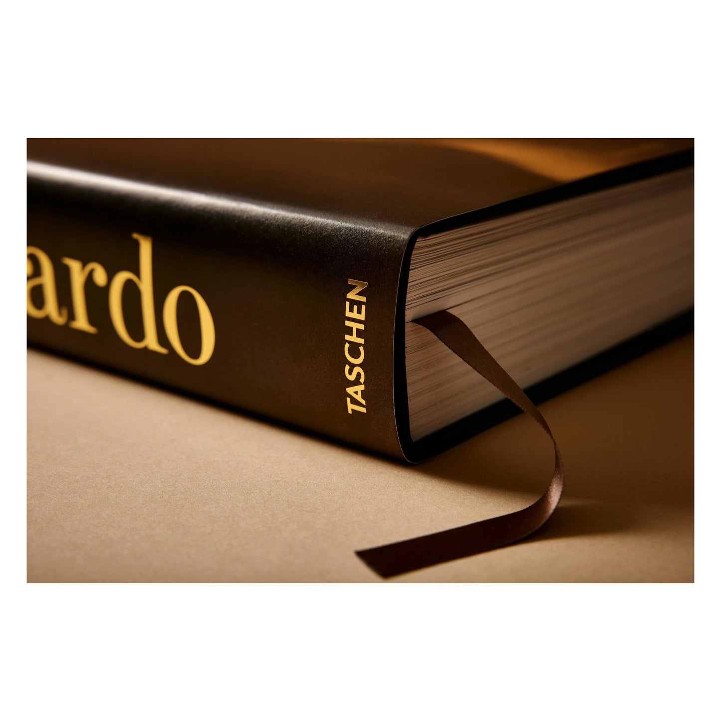 Leonardo. Sämtliche Gemälde und Zeichnungen (German)